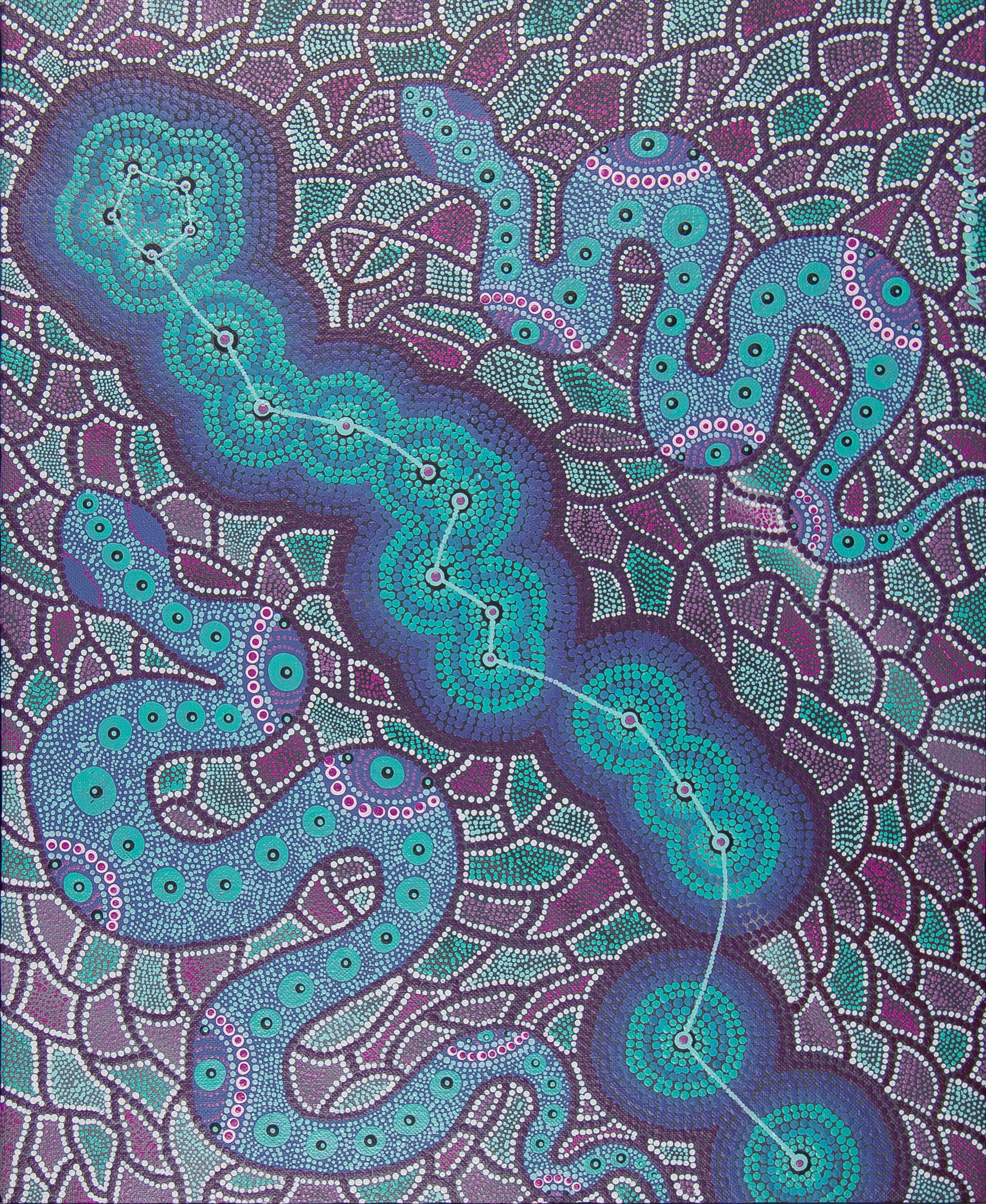 Image showing one of the Shared Sky artworks with the following caption “This constellation is related to Hydra.”