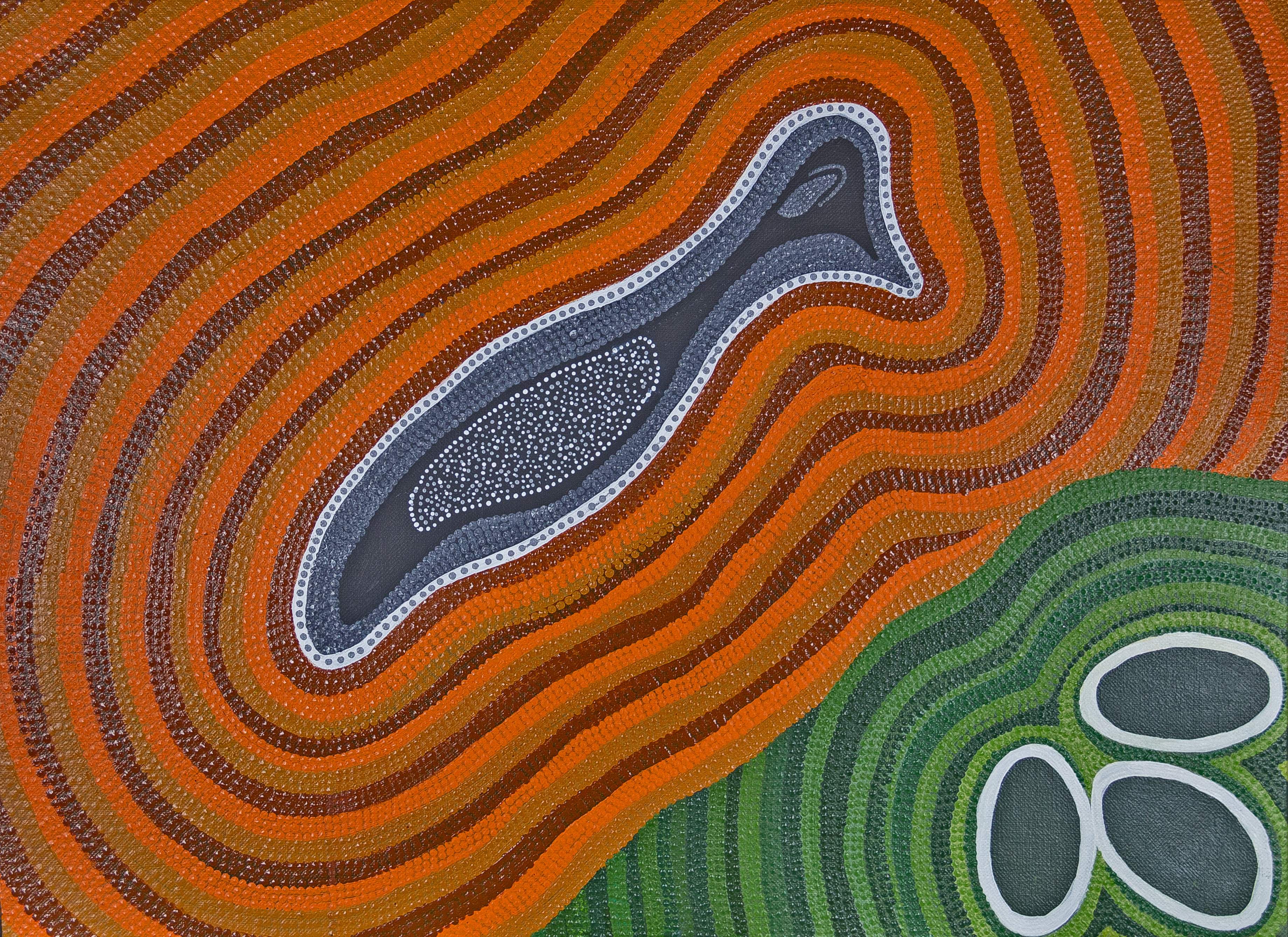 Image showing one of the Shared Sky artworks with the following caption "When you see the Emu in the Sky, that's when you know emu start laying emu eggs and people go bush looking for them.”