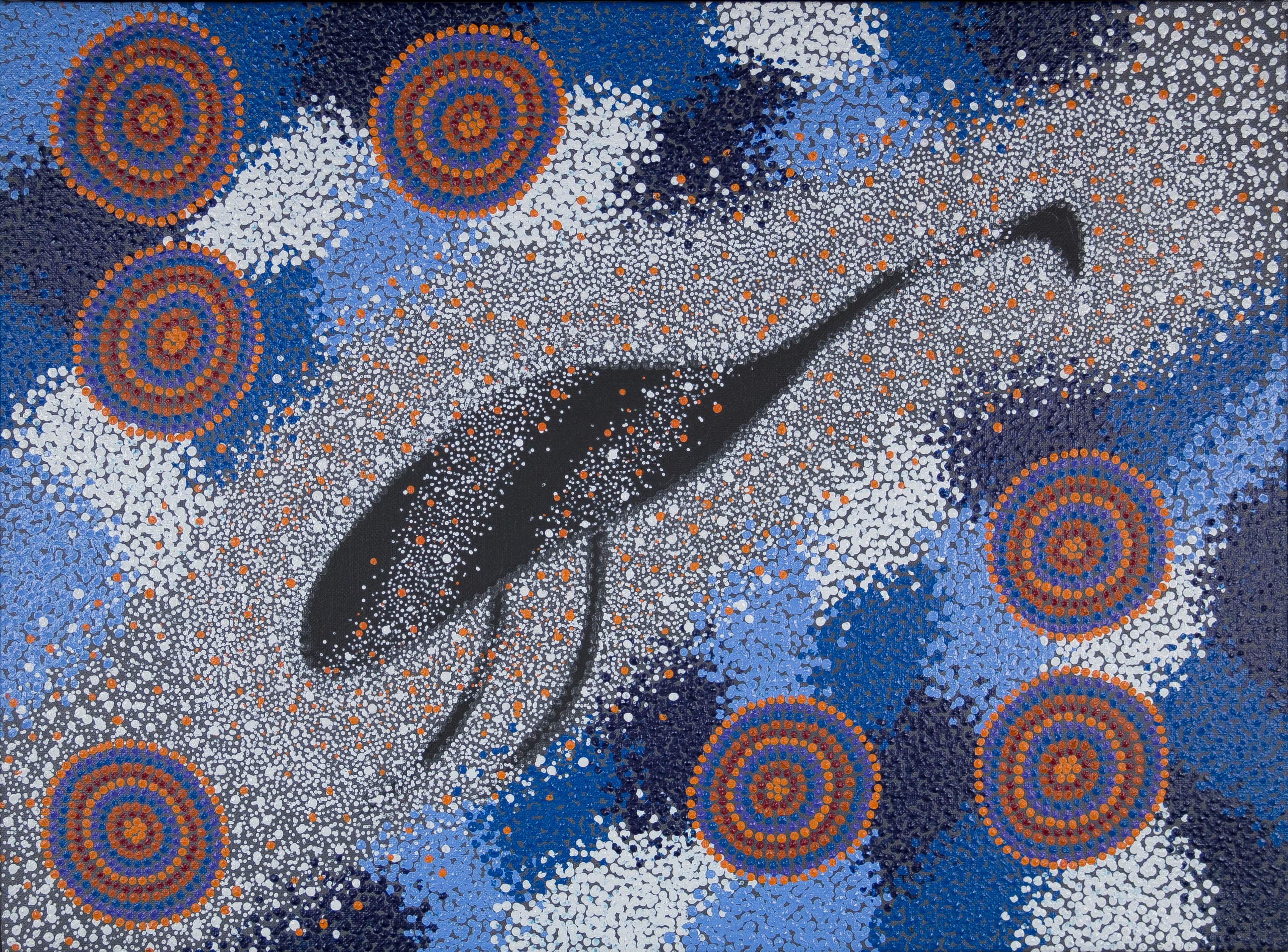 Image showing one of the Shared Sky artworks with the following caption “The image of the Emu in Sky when its emu egg time. Colours depict the different patterns and colours of the night & emu – is my contemporary way of painting.”