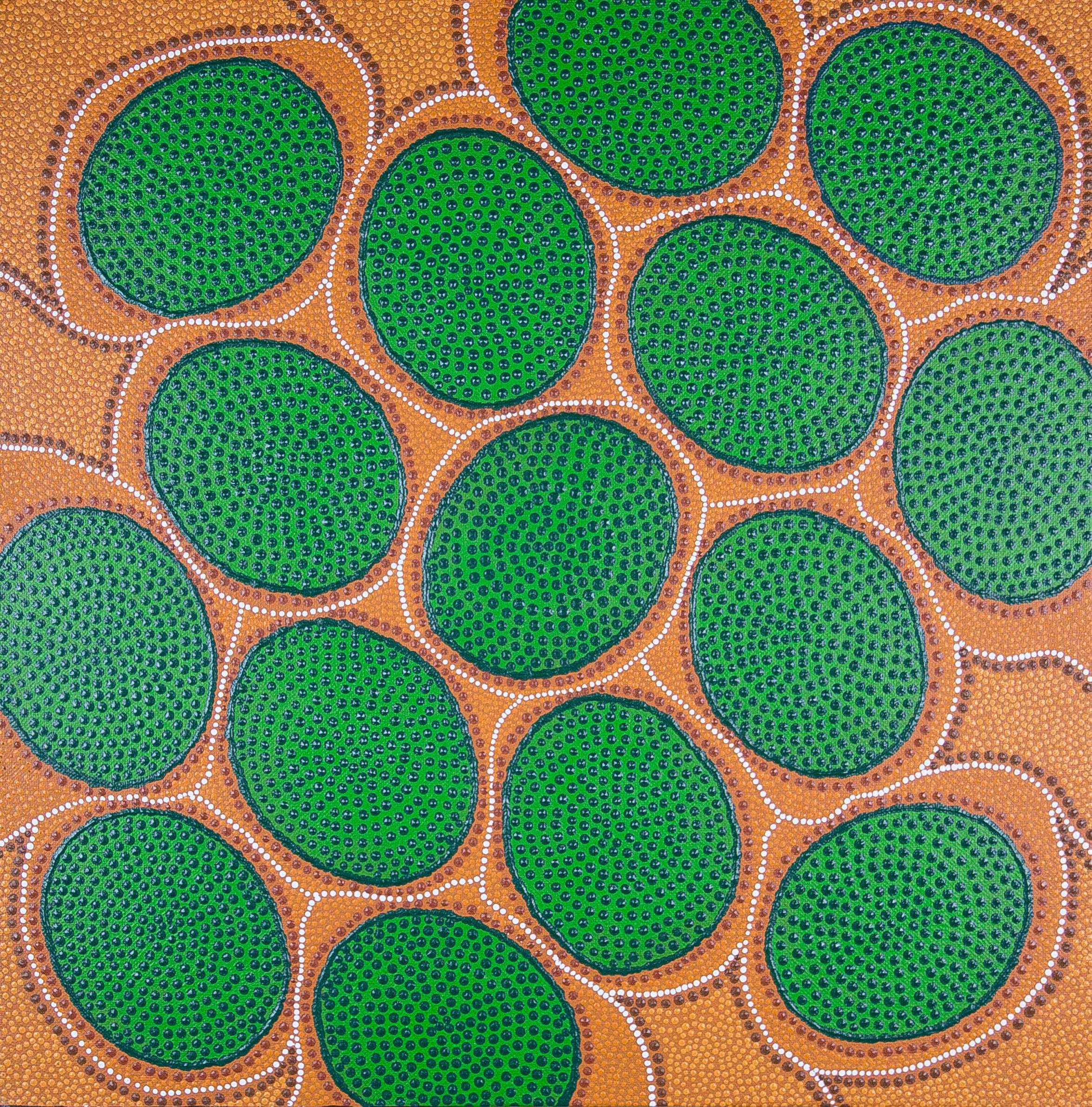 Image showing one of the Shared Sky artworks with the following caption “My painting is about emu eggs. In about April, you will see Emu in the Sky. That’s when you find emu eggs.“