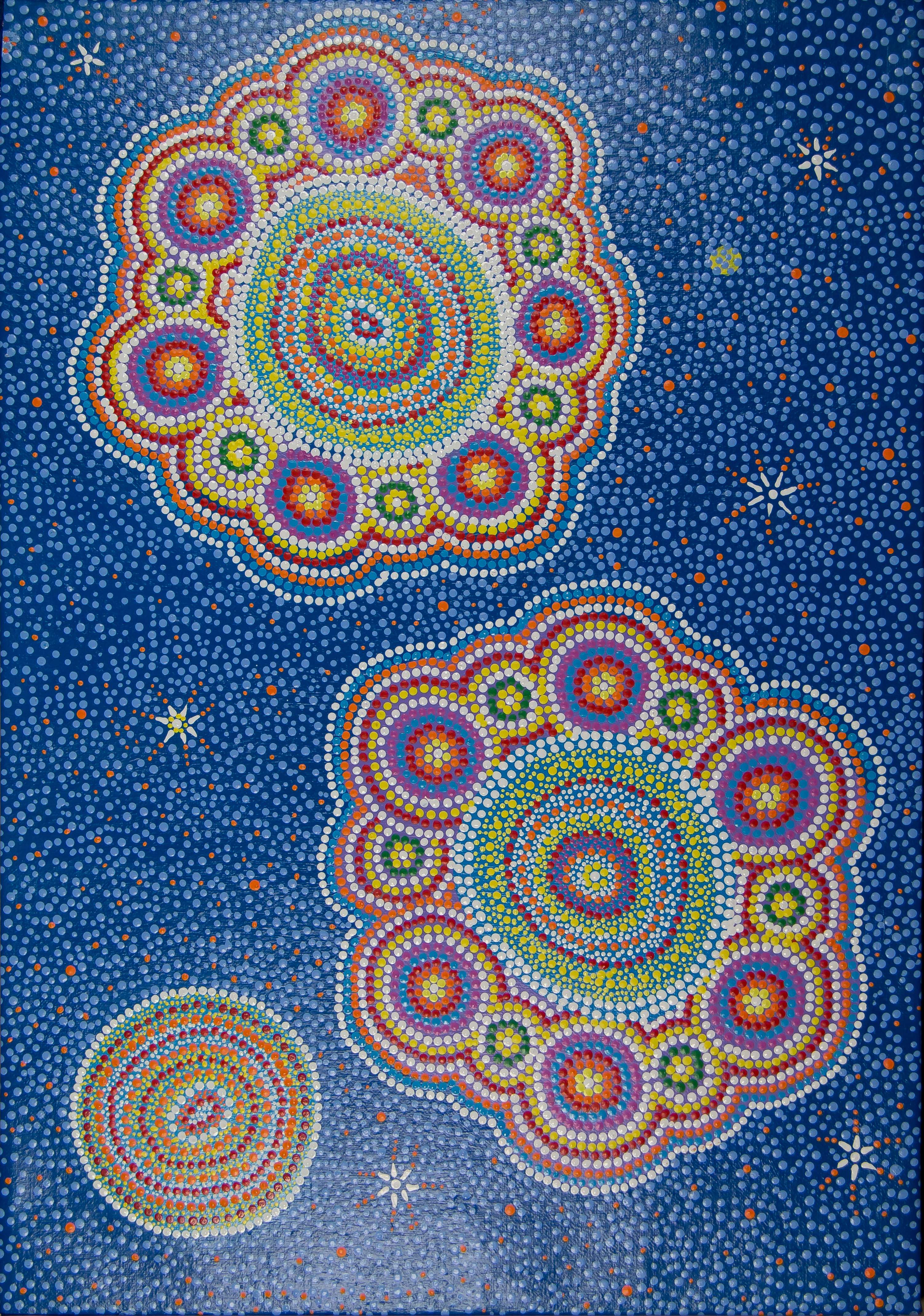 Image showing one of the Shared Sky artworks with the following caption "The most spectacular Universe structure in the Milky Way known as one of the Pointers of the Southern Cross.”