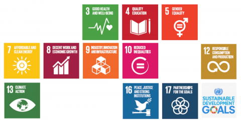 UN Sustainable Development Goals