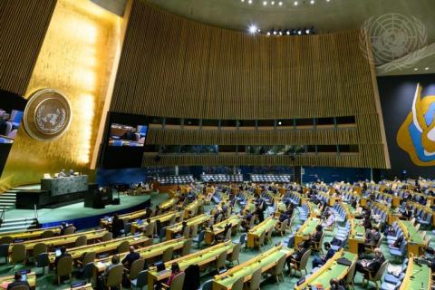 UN Assembly