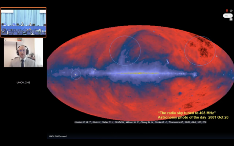 The radio sky tuned to 408 MHz