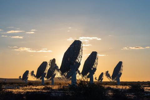 Meerkat telescope