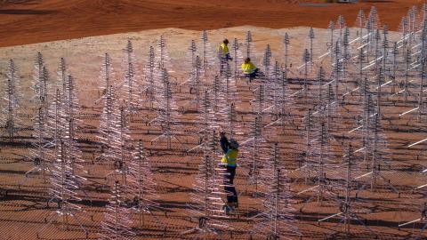 Three people in high-vis clothes working on SKA-Low antennas, that look like a forest of metal Christmas trees.