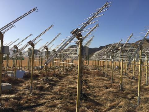 Picture of dozens of dipole antennas installed in neat rows.