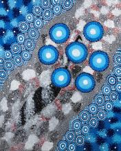 The Emu in the Sky overlaid with the Seven Sisters represented by 7 concentric circles in blue. 