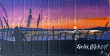 Painting of a landscape through reeds with the sun setting in the distance. 