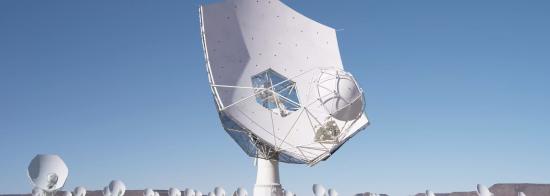 A white telescope dish on the foreground with tens of white telescope dishes in the background. 