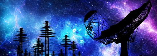 Silhouettes of SKA-Low antennas and an SKA-Mid dish