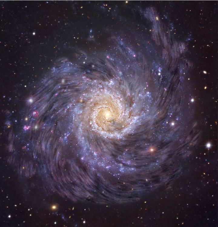 An optical image of a spiral galaxy in shades of blue and pink. Subtly overlaid on top are flow lines tracing the orientation of the magnetic fields in the disc of the galaxy, as traced by radio observations.