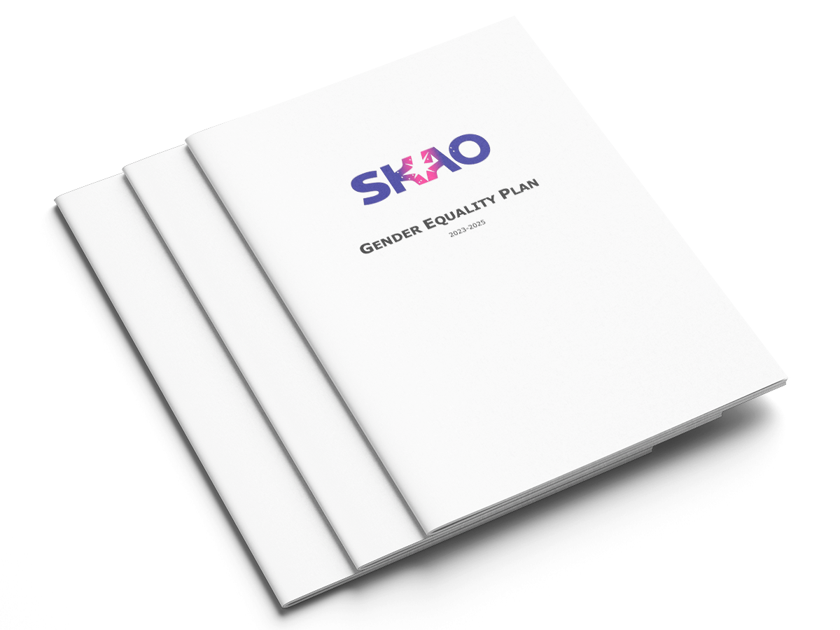 Gender Equality Plan