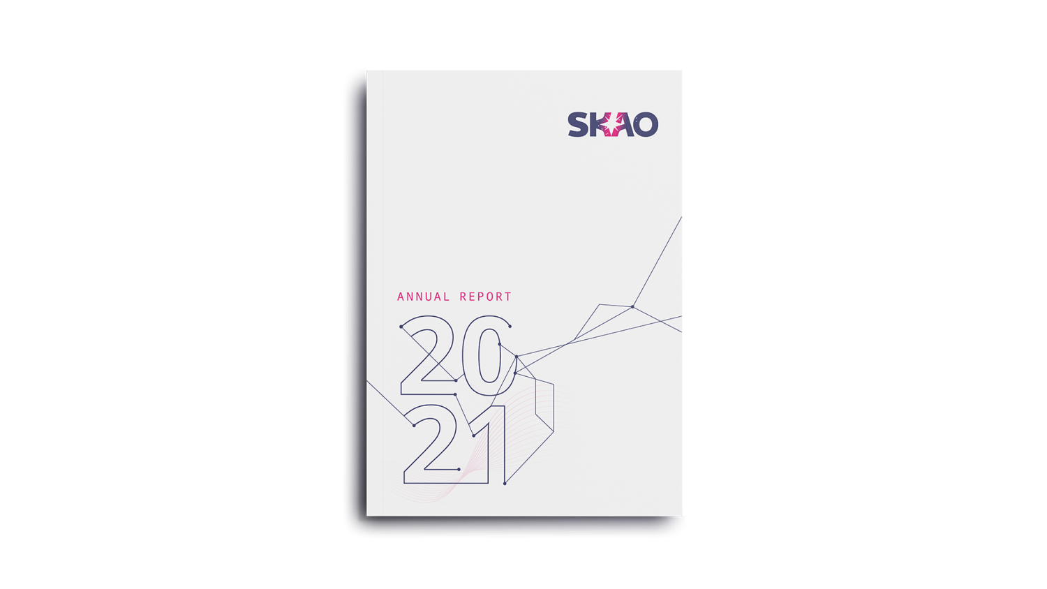 Annual Report 2021